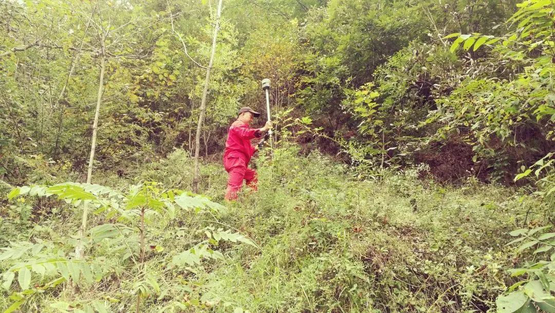 林區(qū)作業(yè)安全注意事項(xiàng)，測(cè)繪人的野外安全作業(yè)指南！